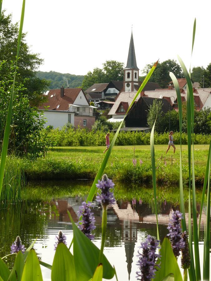 Отель Blick Zum Maimont Ludwigswinkel Экстерьер фото