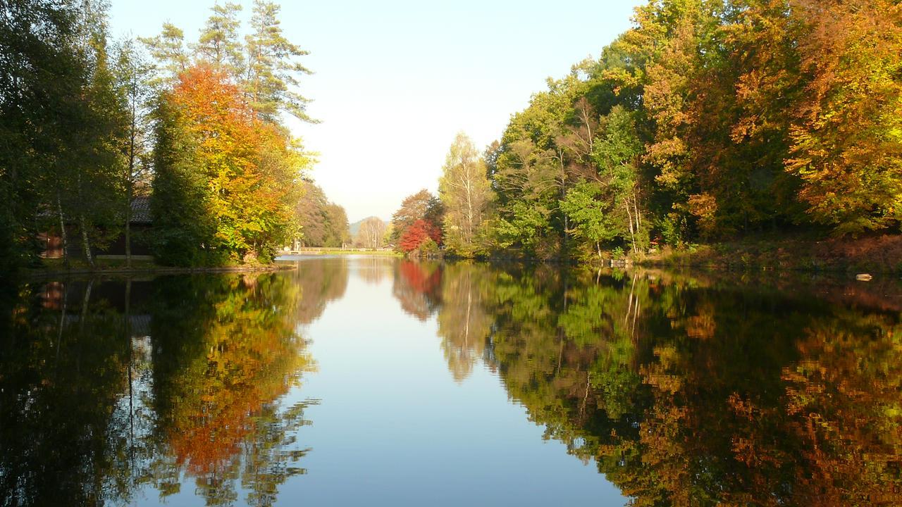 Отель Blick Zum Maimont Ludwigswinkel Экстерьер фото